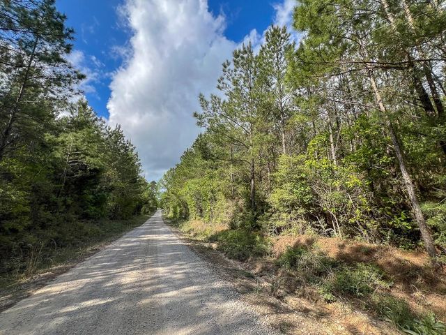 2 Cr 4280, Woodville, TX 75979
