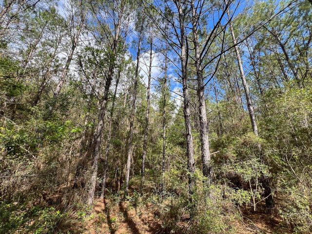 2 Cr 4280, Woodville, TX 75979