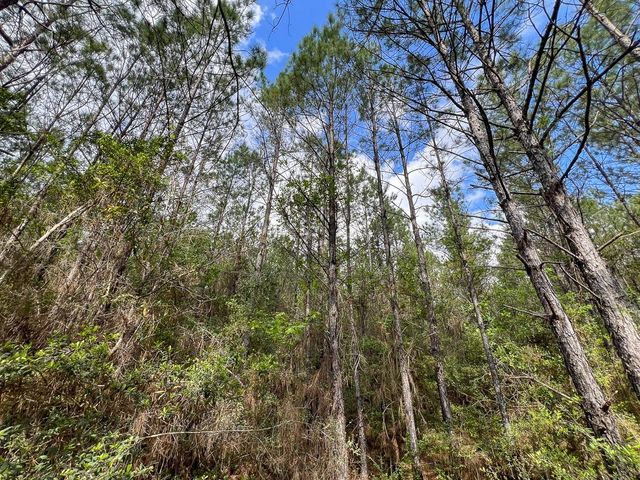 2 Cr 4280, Woodville, TX 75979