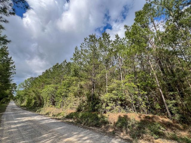 2 Cr 4280, Woodville, TX 75979