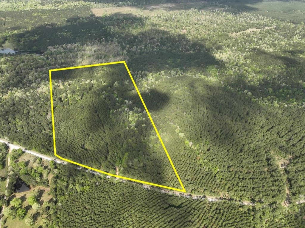 2 Cr 4280, Woodville, TX 75979