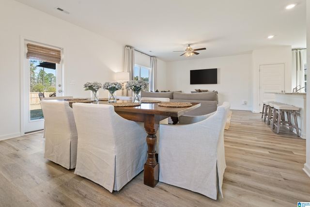 1320 CHELSEA PARK TRAIL, Chelsea, AL 35043