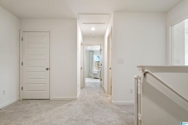 1320 CHELSEA PARK TRAIL, Chelsea, AL 35043