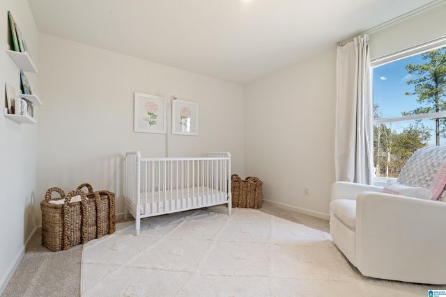 1320 CHELSEA PARK TRAIL, Chelsea, AL 35043