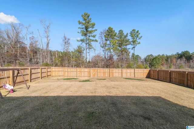 1320 CHELSEA PARK TRAIL, Chelsea, AL 35043
