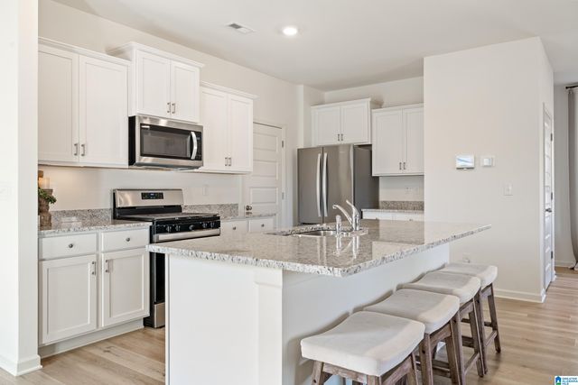 1320 CHELSEA PARK TRAIL, Chelsea, AL 35043