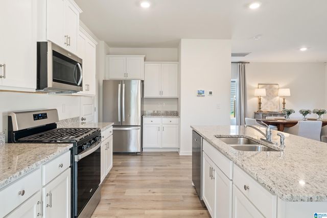 1320 CHELSEA PARK TRAIL, Chelsea, AL 35043