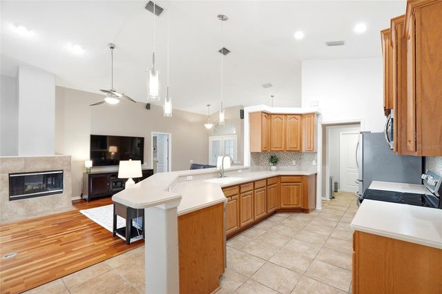 1258 PARADISE LAKE DRIVE, Tarpon Springs, FL 34689