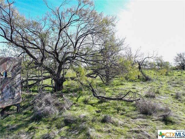 TBD Prairie Dell Road, Salado, TX 76571