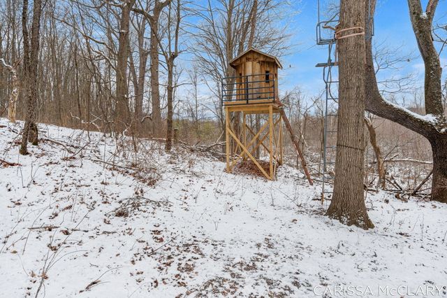 8409 Squires Street Ne, Courtland Twp, MI 49341