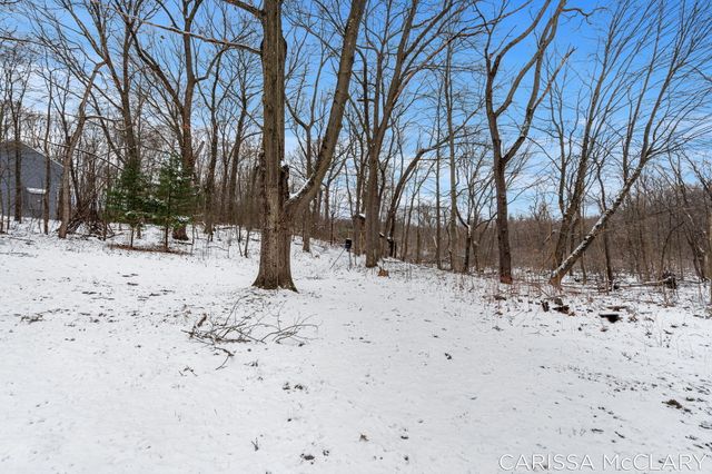 8409 Squires Street Ne, Courtland Twp, MI 49341