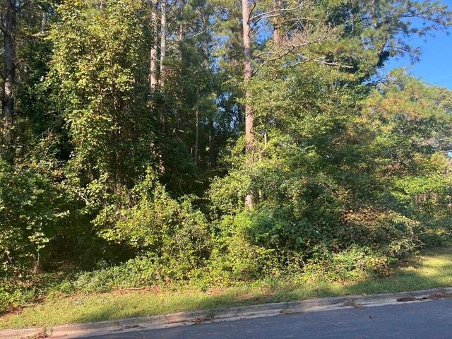 0 Stonemeade Court, South Fulton, GA 30331