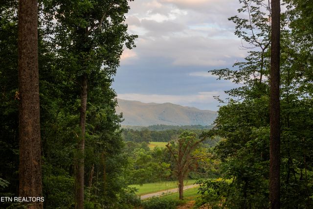 143 Moody Moon Ridge Way, Newport, TN 37821