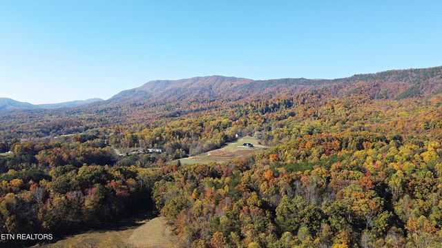 143 Moody Moon Ridge Way, Newport, TN 37821