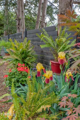 130 Solar Street, Bristol, VA 24201