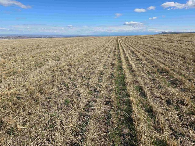 50411 C Williams Rd, Kennewick, WA 99338