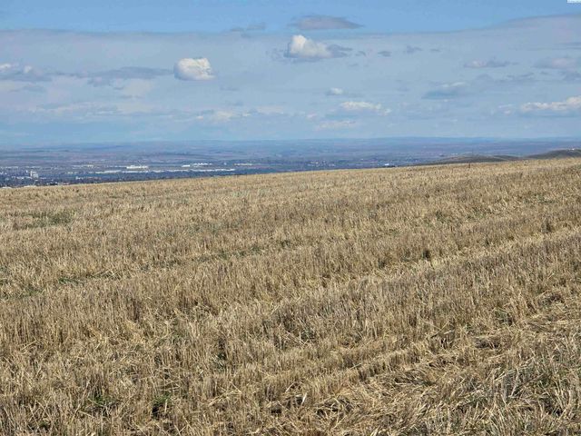 50411 C Williams Rd, Kennewick, WA 99338