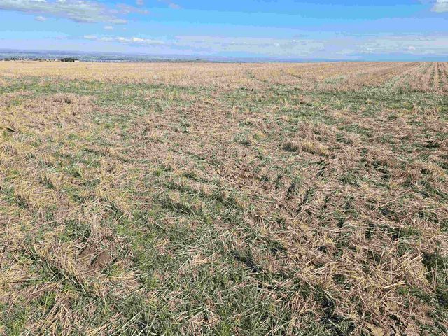 50411 C Williams Rd, Kennewick, WA 99338