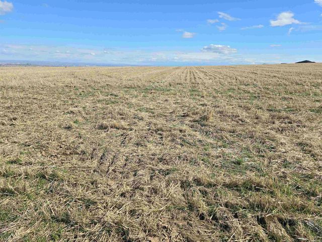 50411 C Williams Rd, Kennewick, WA 99338