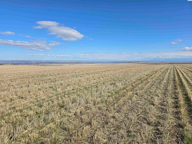 50411 C Williams Rd, Kennewick, WA 99338