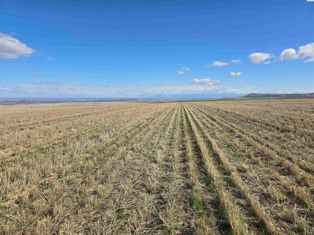 50411 C Williams Rd, Kennewick, WA 99338