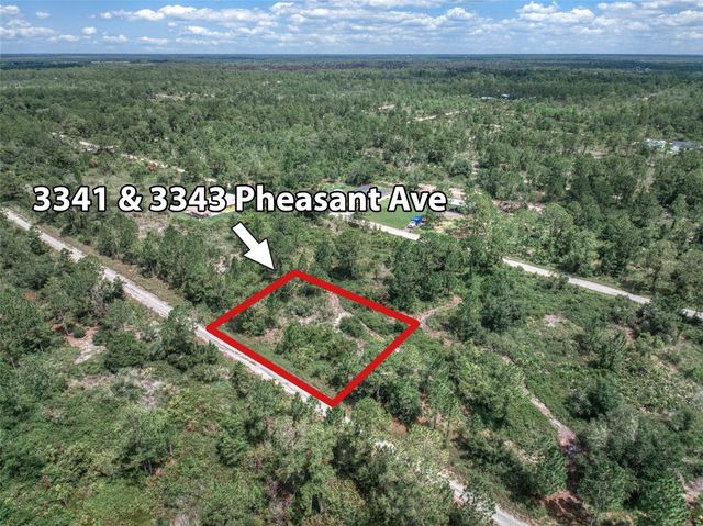 3341 PHEASANT AVENUE, Lake Placid, FL 33852