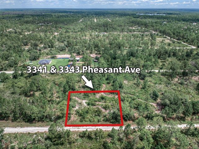 3341 PHEASANT AVENUE, Lake Placid, FL 33852