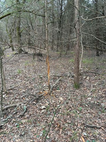 23 County Road 2950, Windom, TX 75306