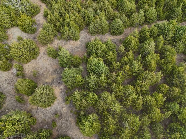 23 County Road 2950, Windom, TX 75306