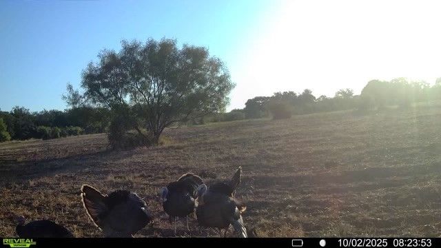 15100 County Road 129, Brownwood, TX 76801