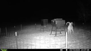 15100 County Road 129, Brownwood, TX 76801