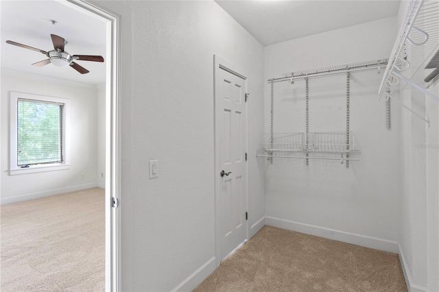 512 S GLEN AVENUE, Tampa, FL 33609