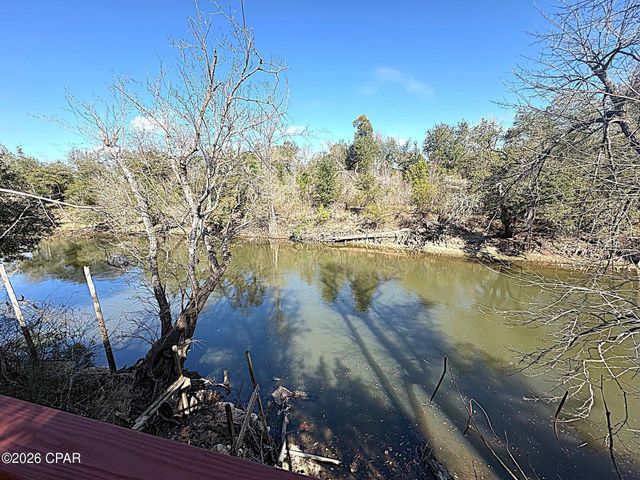 13770 NW Shuman Ferry Road, Altha, FL 32421