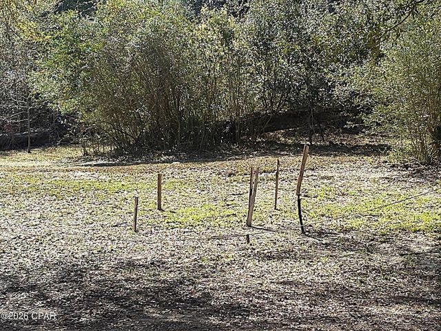 13770 NW Shuman Ferry Road, Altha, FL 32421