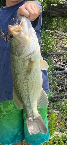 tbd Fm-1702 Road 1702, Dublin, TX 76446