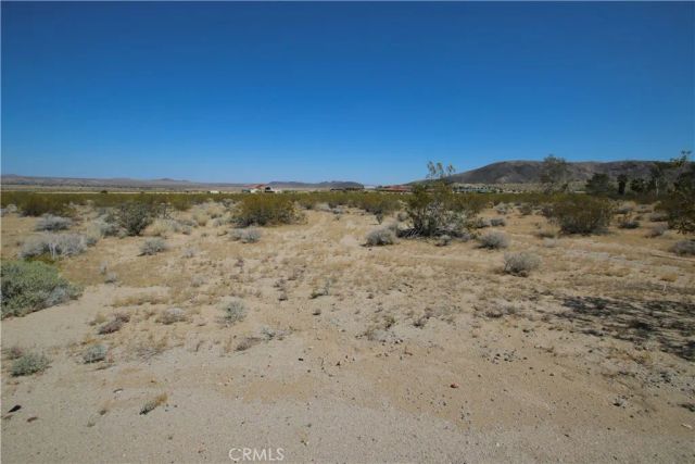 66400 29 Palms, Joshua Tree, CA 92252