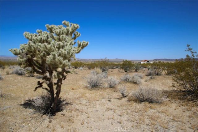 66400 29 Palms, Joshua Tree, CA 92252