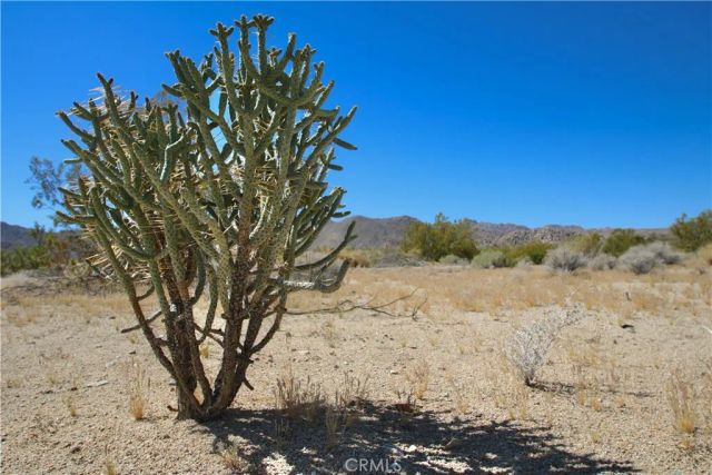 66400 29 Palms, Joshua Tree, CA 92252