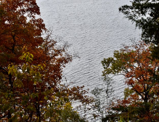 1350 Backwoods Rd, Cedarcreek, MO 65627