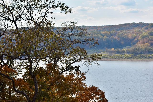 1350 Backwoods Rd, Cedarcreek, MO 65627