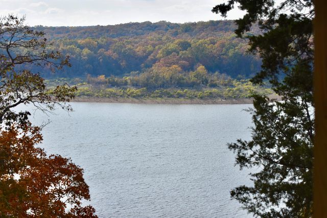 1350 Backwoods Rd, Cedarcreek, MO 65627