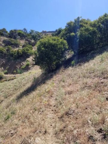 2537 Woodstock, Los Angeles, CA 90046