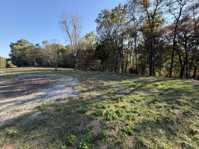 7025 Cairo Bend Rd, Lebanon, TN 37087