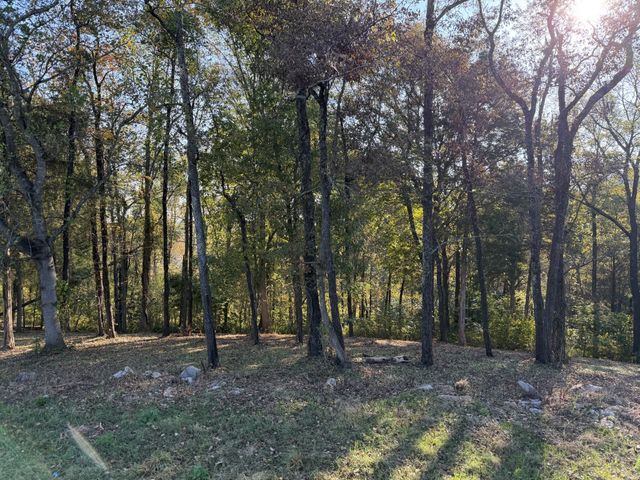 7025 Cairo Bend Rd, Lebanon, TN 37087