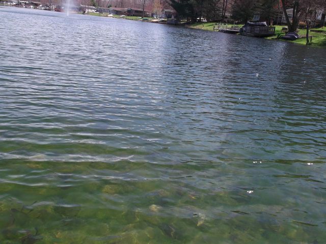 2221 Grass Lake Avenue 255, Lake, MI 48632