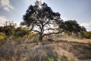 1463 Whispering Woods Trail, New Braunfels, TX 78132