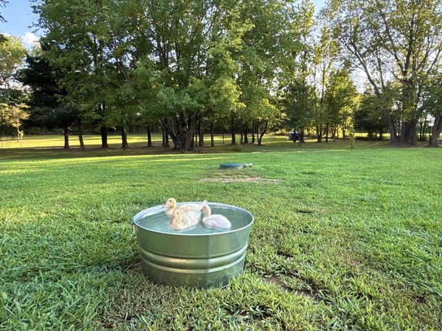1030 Founders Ln, Portland, TN 37148