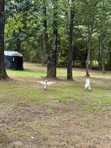 1030 Founders Ln, Portland, TN 37148