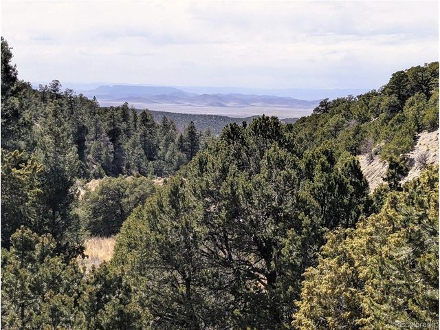 1593 Jaidi Rd, Fort Garland, CO 81133