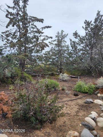1575 Shirley Street, Minden, NV 89423